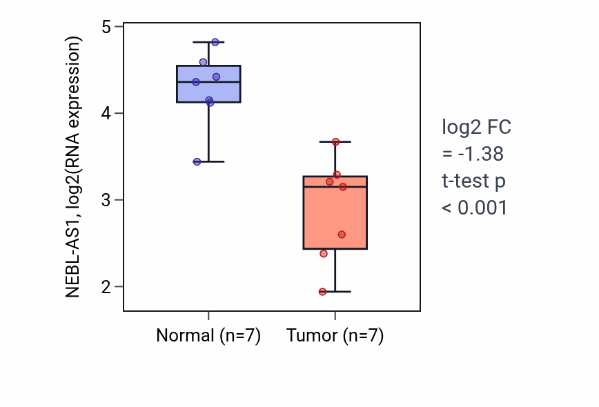 Tumor-vs-normal expression box plot for NEBL-AS1 RNA in THCA.