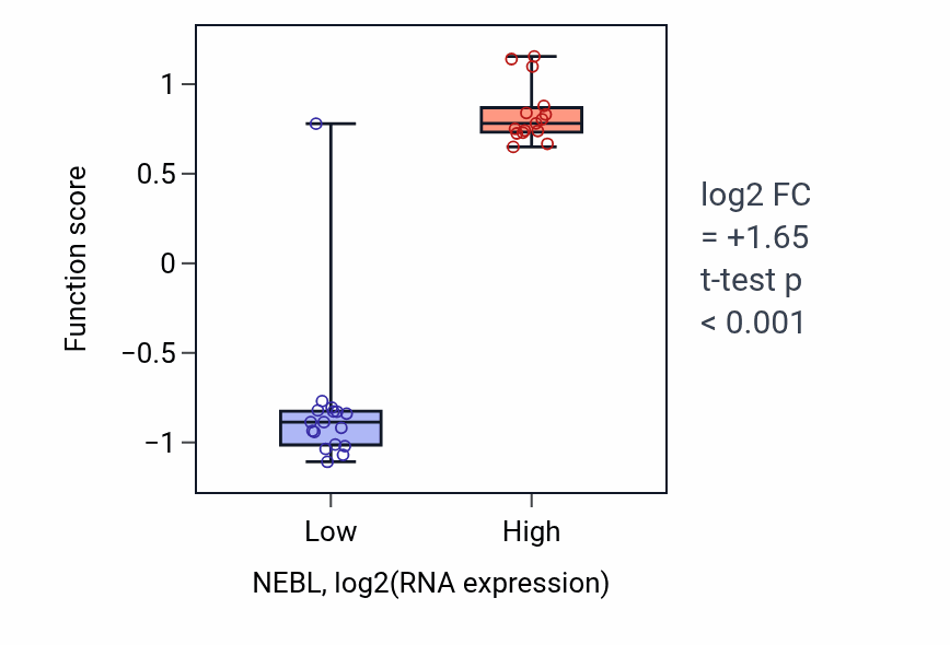Box plot of Cardiac muscle thin filament assembly in NEBL-low vs NEBL-high samples in OESOPHAGUS.
