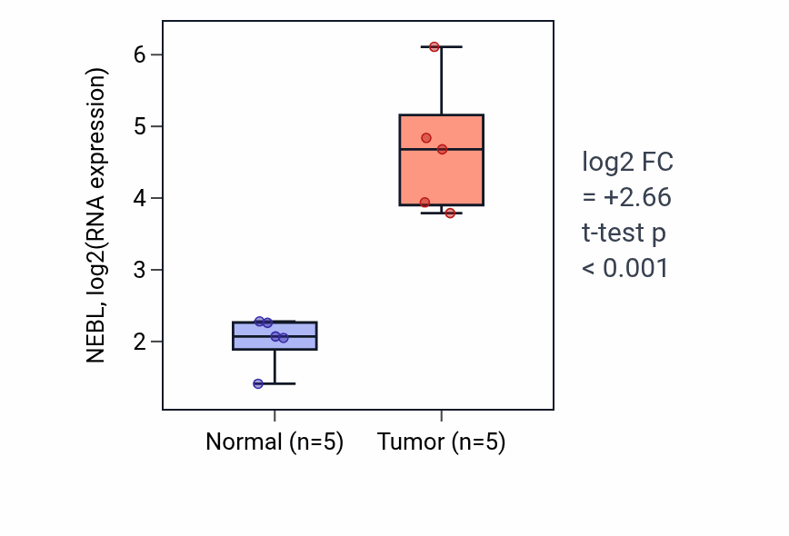 Tumor-vs-normal expression box plot for NEBL RNA in COAD.