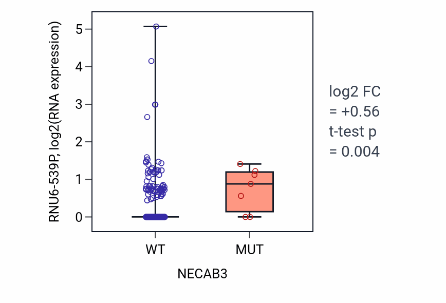 Box plot of RNU6-539P in NECAB3-low vs NECAB3-high samples in COAD.