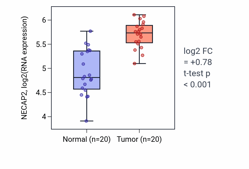 Tumor-vs-normal expression box plot for NECAP2 RNA in KIRC.