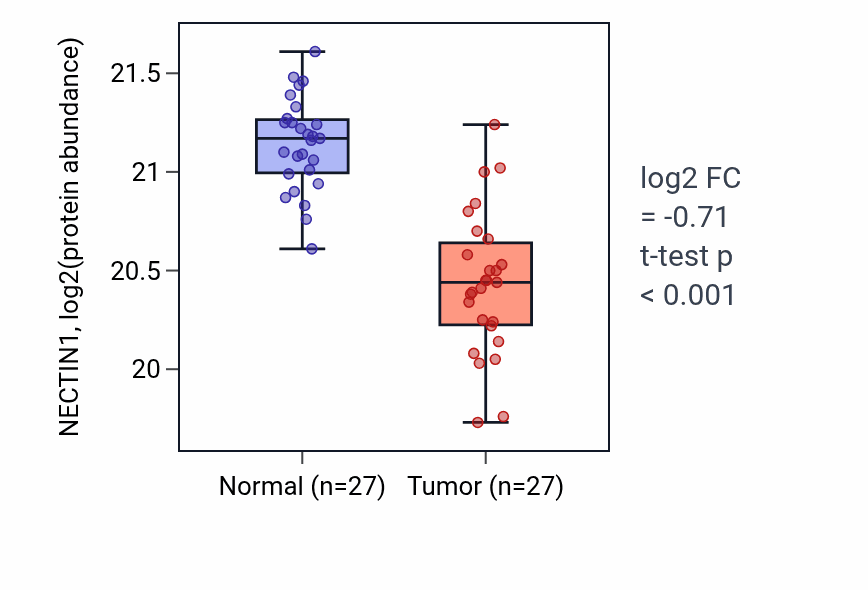 Tumor-vs-normal mass-spec protein box plot for NECTIN1 in CCRCC.