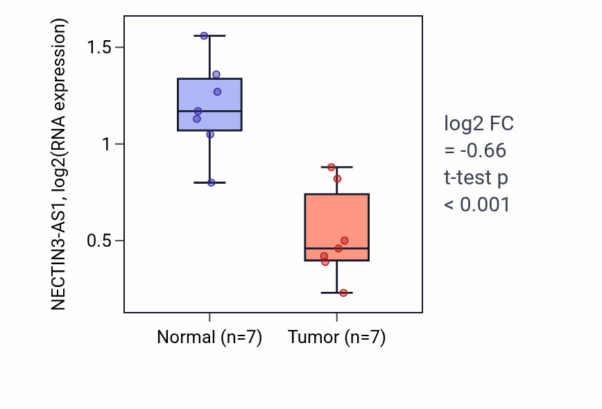 Tumor-vs-normal expression box plot for NECTIN3-AS1 in THCA.