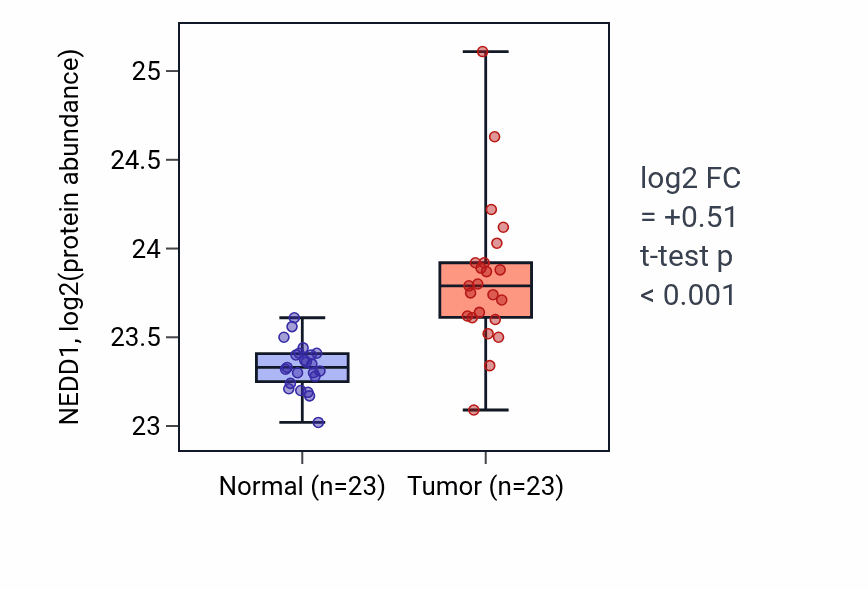 Tumor-vs-normal mass-spec protein box plot for NEDD1 in HNSC.