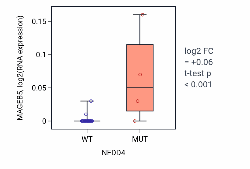Box plot of MAGEB5 in NEDD4-low vs NEDD4-high samples in STOMACH.