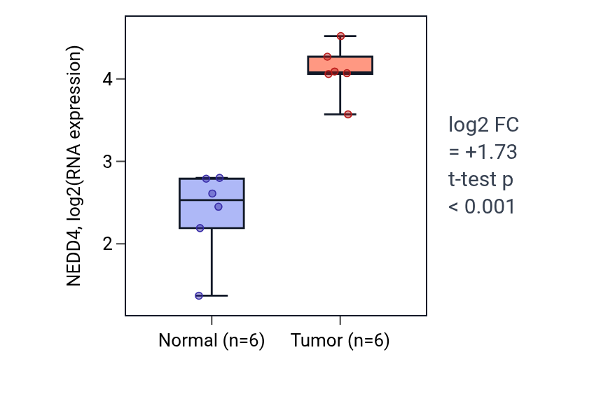 Tumor-vs-normal expression box plot for NEDD4 in HNSC.