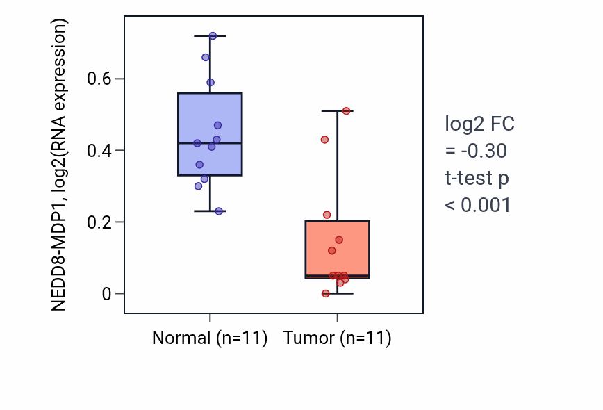 Tumor-vs-normal expression box plot for NEDD8-MDP1 in KICH.
