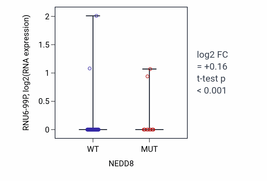 Box plot of RNU6-99P in NEDD8-low vs NEDD8-high samples in UCEC.