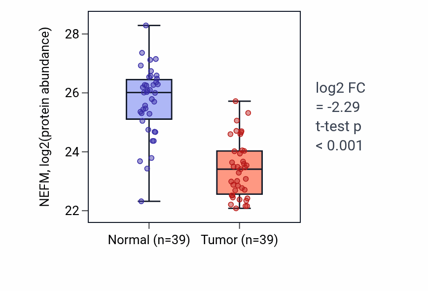 Tumor-vs-normal mass-spec protein box plot for NEFM in HNSC.