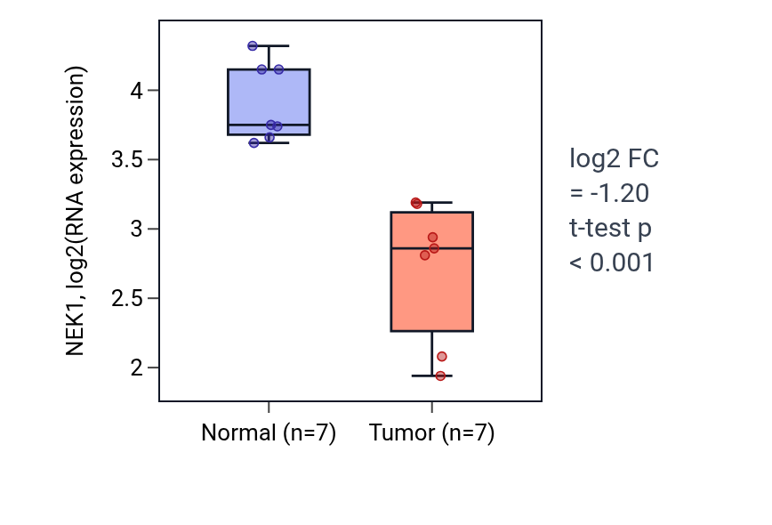 Tumor-vs-normal expression box plot for NEK1 in THCA.