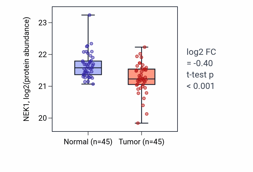 Tumor-vs-normal mass-spec protein box plot for NEK1 in HNSC.