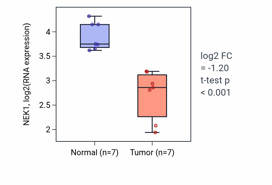 Tumor-vs-normal expression box plot for NEK1 RNA in THCA.