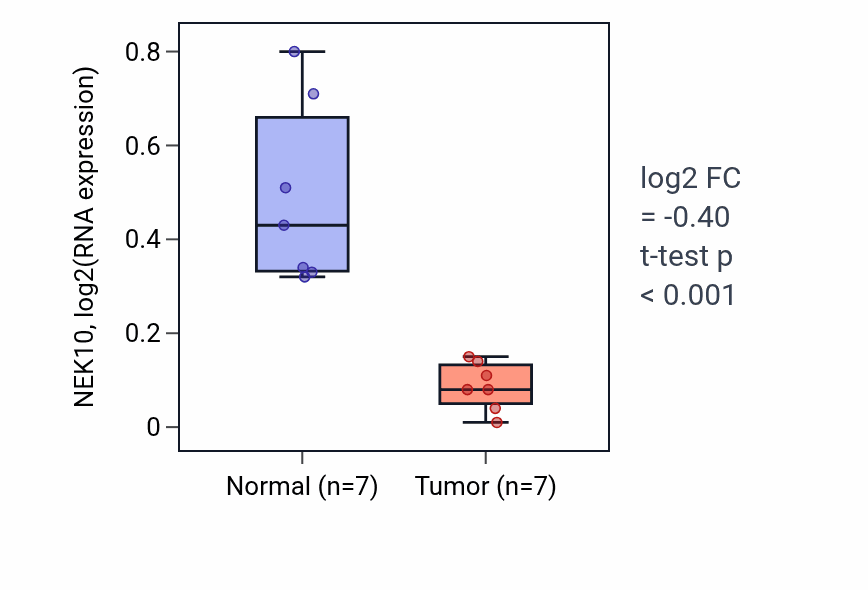 Tumor-vs-normal expression box plot for NEK10 RNA in THCA.