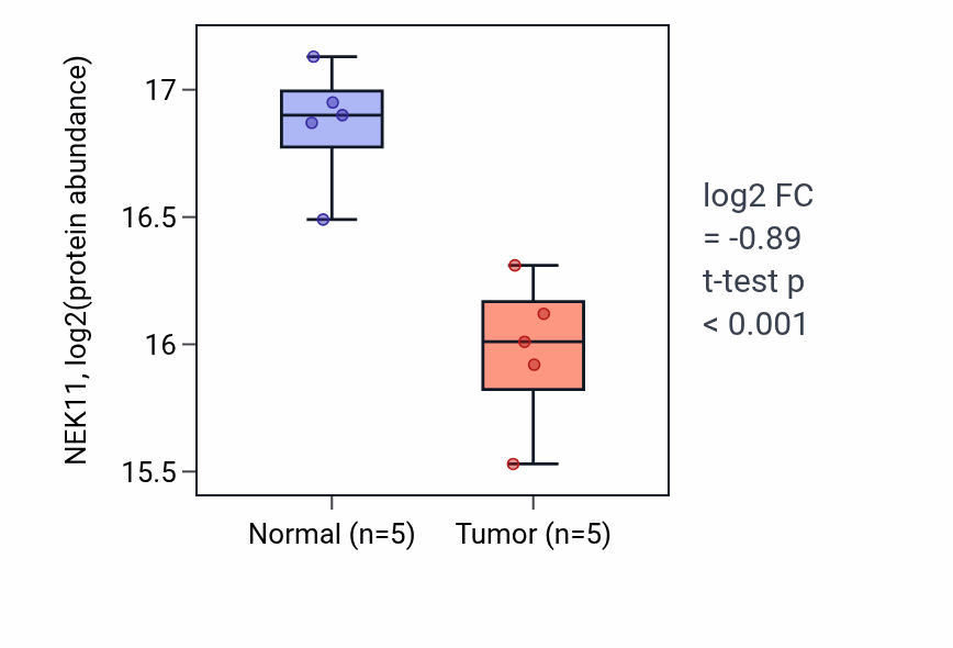 Tumor-vs-normal mass-spec protein box plot for NEK11 in LUAD.