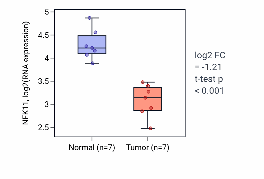 Tumor-vs-normal expression box plot for NEK11 RNA in THCA.