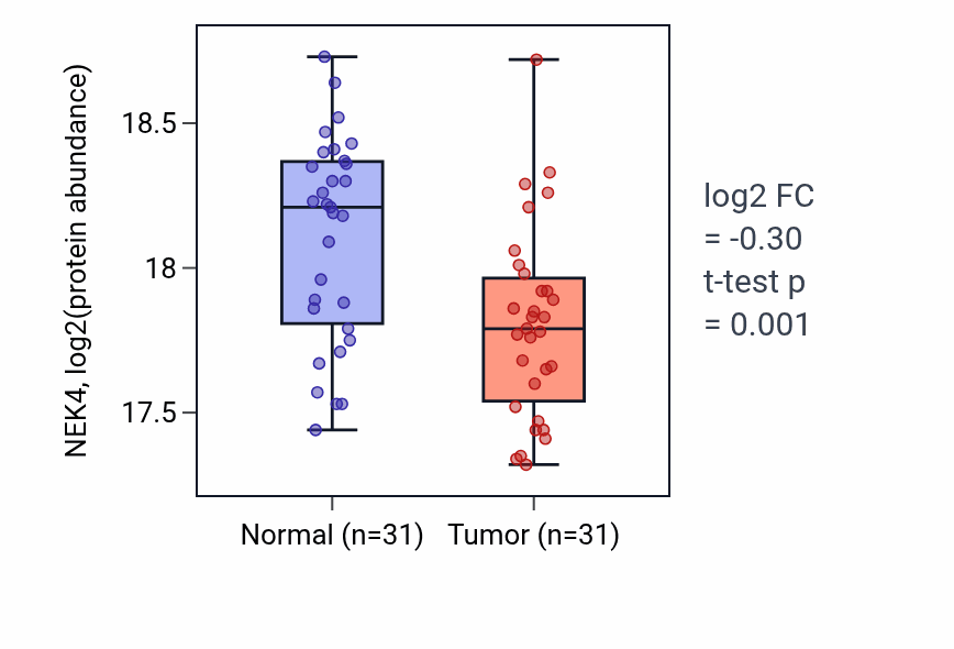 Tumor-vs-normal mass-spec protein box plot for NEK4 in HNSC.