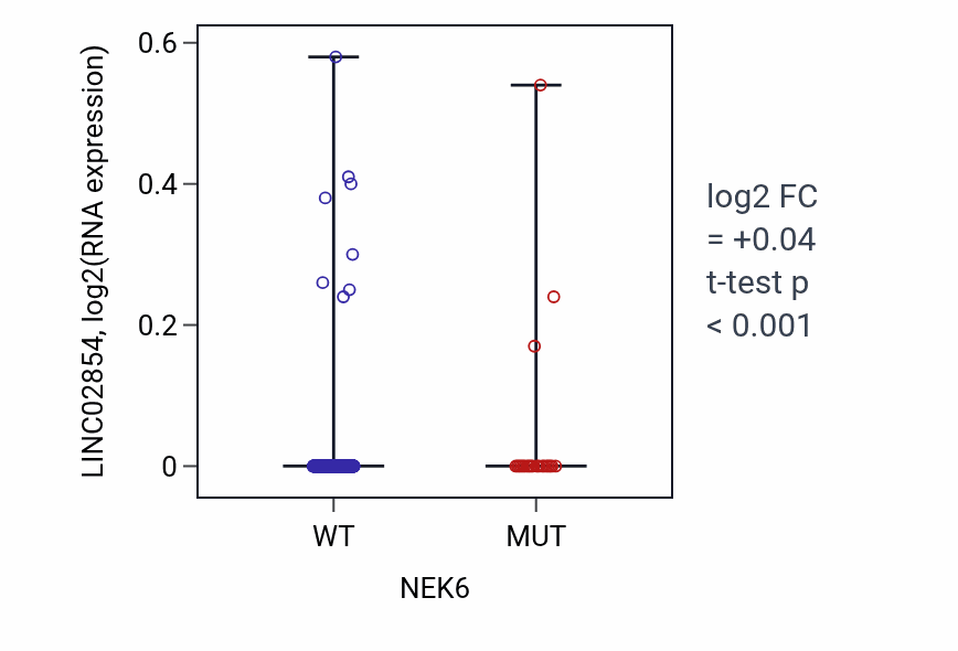 Box plot of LINC02854 in NEK6-low vs NEK6-high samples in UCEC.