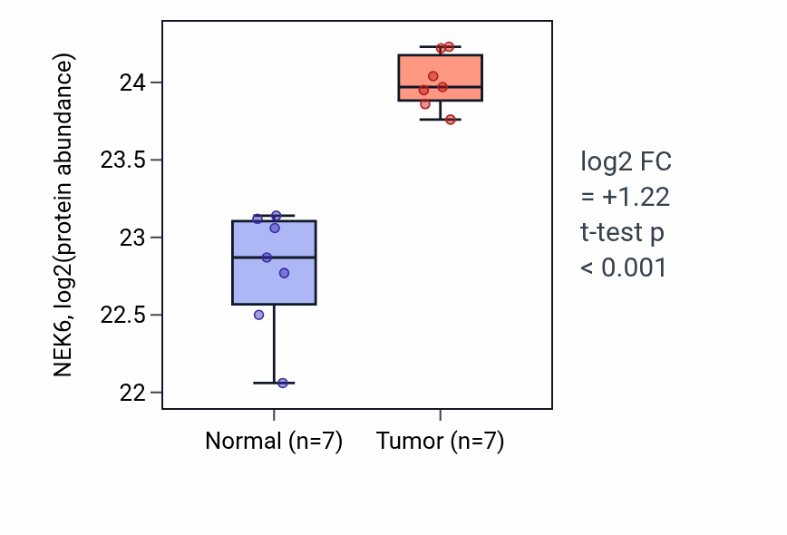 Tumor-vs-normal mass-spec protein box plot for NEK6 in CCRCC.