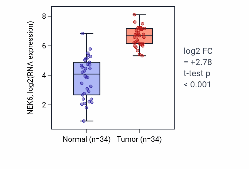 Tumor-vs-normal expression box plot for NEK6 RNA in KIRC.