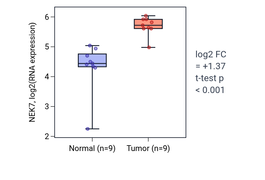 Tumor-vs-normal expression box plot for NEK7 in HNSC.