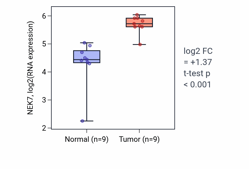 Tumor-vs-normal expression box plot for NEK7 RNA in HNSC.