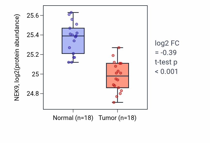 Tumor-vs-normal mass-spec protein box plot for NEK9 in COAD.