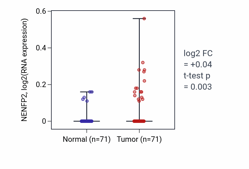 Tumor-vs-normal expression box plot for NENFP2 in KIRC.