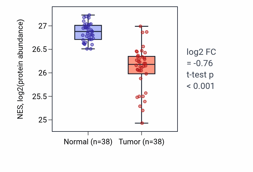 Tumor-vs-normal mass-spec protein box plot for NES in CCRCC.