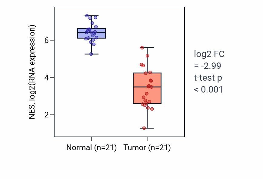 Tumor-vs-normal expression box plot for NES RNA in KIRP.