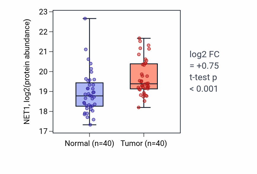 Tumor-vs-normal mass-spec protein box plot for NET1 in LSCC.