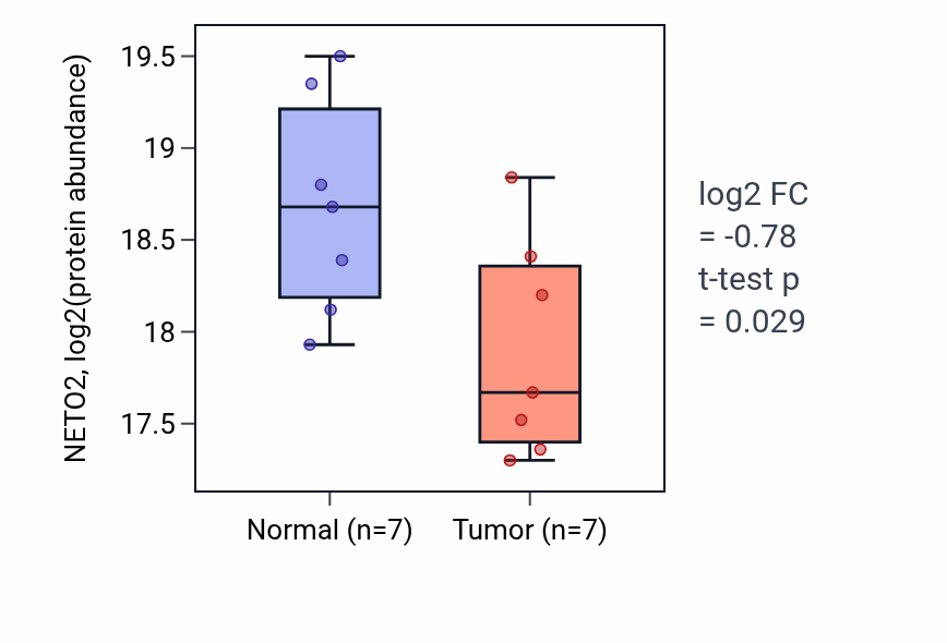 Tumor-vs-normal mass-spec protein box plot for NETO2 in LUAD.