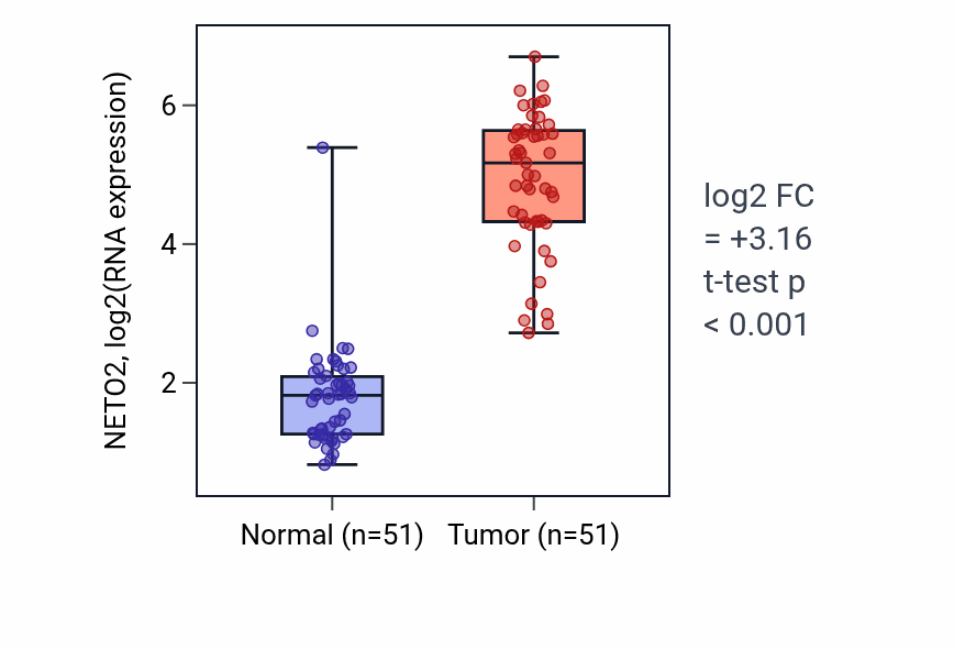 Tumor-vs-normal expression box plot for NETO2 RNA in KIRC.