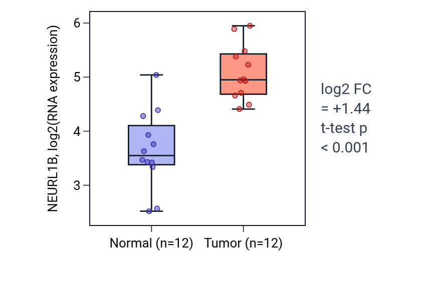 Tumor-vs-normal expression box plot for NEURL1B in KIRC.