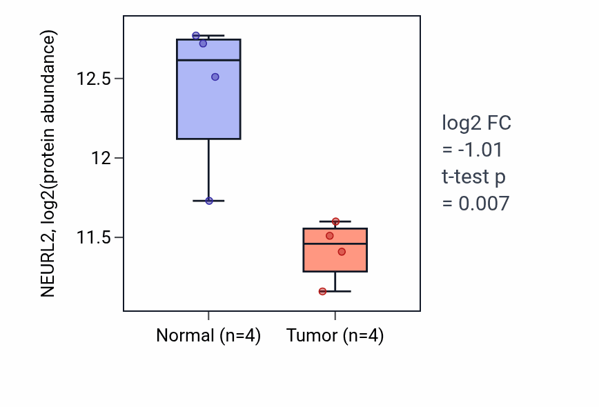 Tumor-vs-normal mass-spec protein box plot for NEURL2 in HNSC.