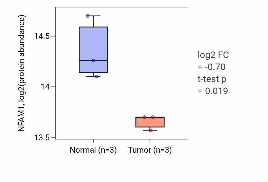 Tumor-vs-normal mass-spec protein box plot for NFAM1 in HNSC.