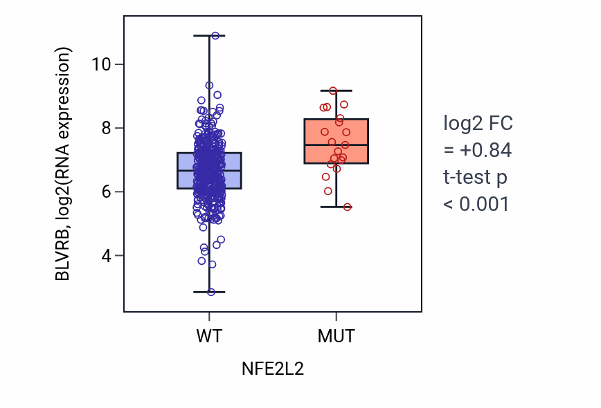 Box plot of BLVRB in NFE2L2-low vs NFE2L2-high samples in BLCA.