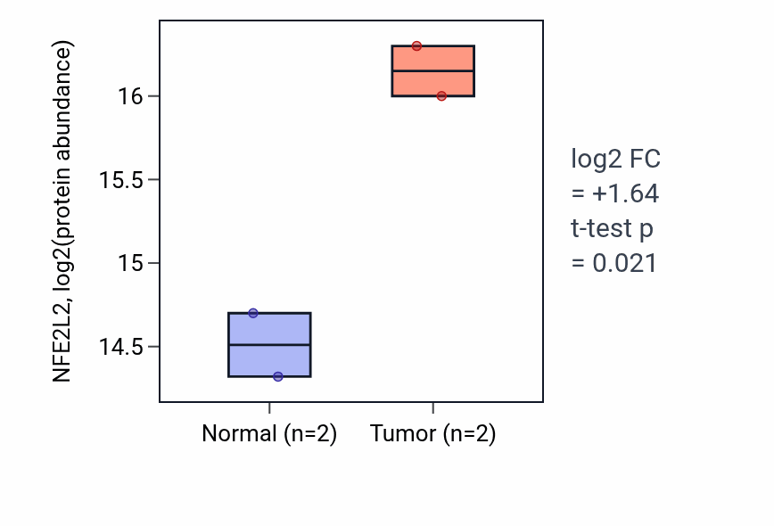 Tumor-vs-normal mass-spec protein box plot for NFE2L2 in HNSC.