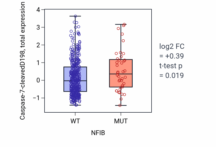 Box plot of Caspase-7-cleavedD198 in NFIB-low vs NFIB-high samples in UCEC.