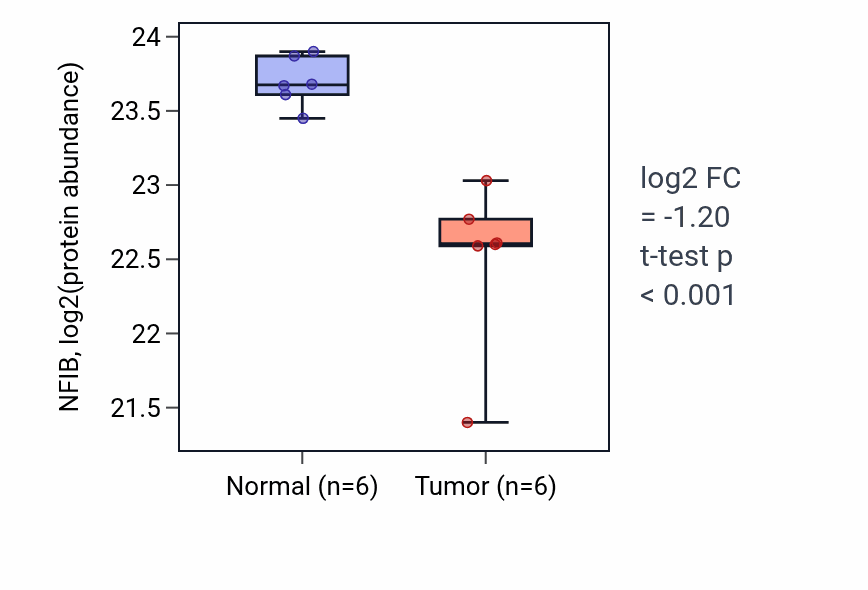 Tumor-vs-normal mass-spec protein box plot for NFIB in HNSC.
