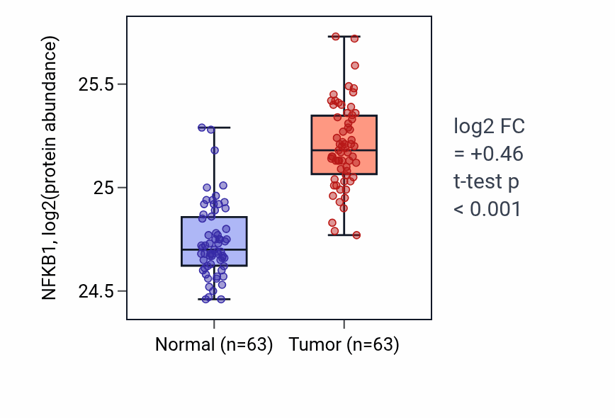 Tumor-vs-normal mass-spec protein box plot for NFKB1 in CCRCC.