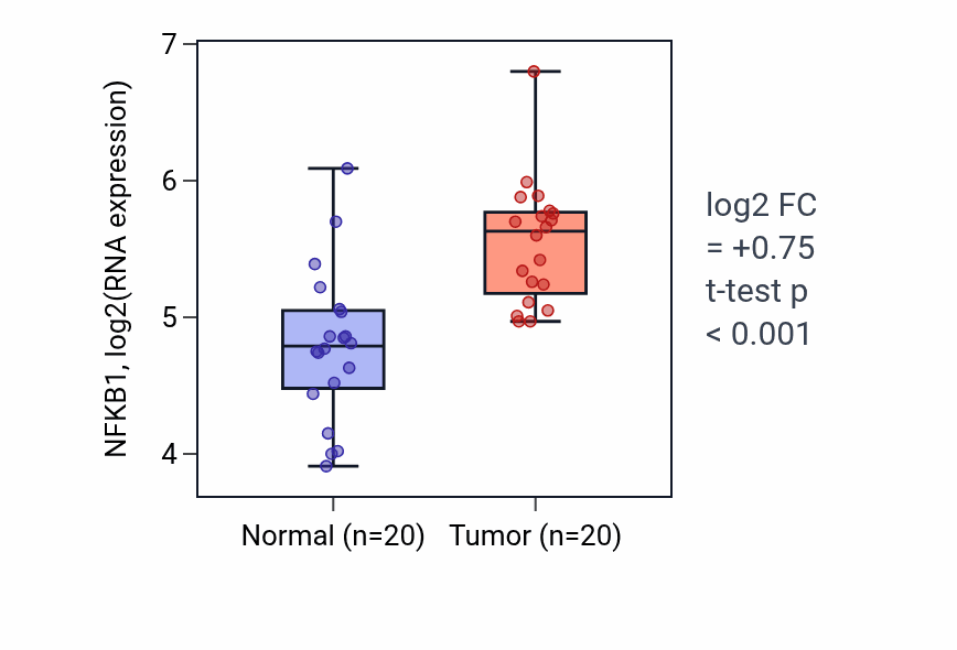 Tumor-vs-normal expression box plot for NFKB1 RNA in KIRC.
