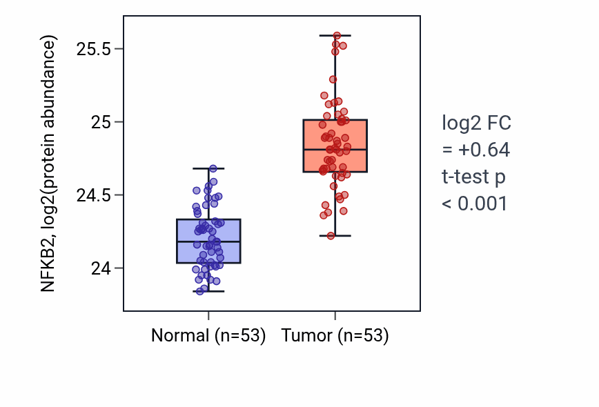Tumor-vs-normal mass-spec protein box plot for NFKB2 in HNSC.