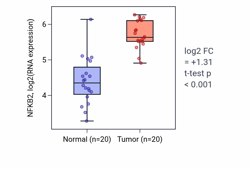Tumor-vs-normal expression box plot for NFKB2 RNA in KIRC.
