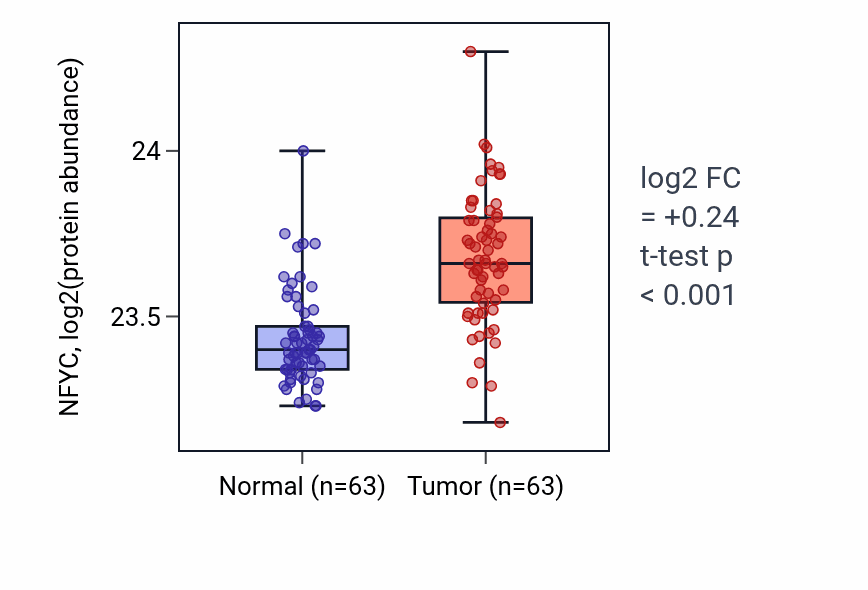 Tumor-vs-normal mass-spec protein box plot for NFYC in CCRCC.