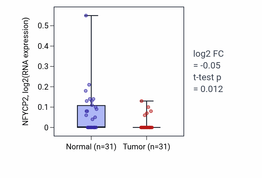 Tumor-vs-normal expression box plot for NFYCP2 in KIRP.