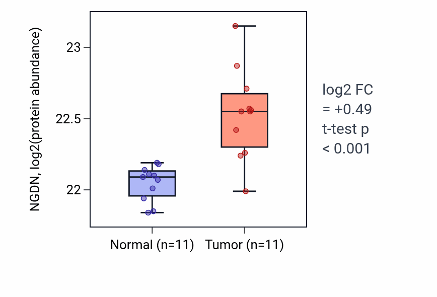 Tumor-vs-normal mass-spec protein box plot for NGDN in CCRCC.