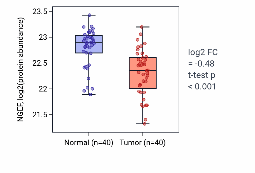 Tumor-vs-normal mass-spec protein box plot for NGEF in CCRCC.
