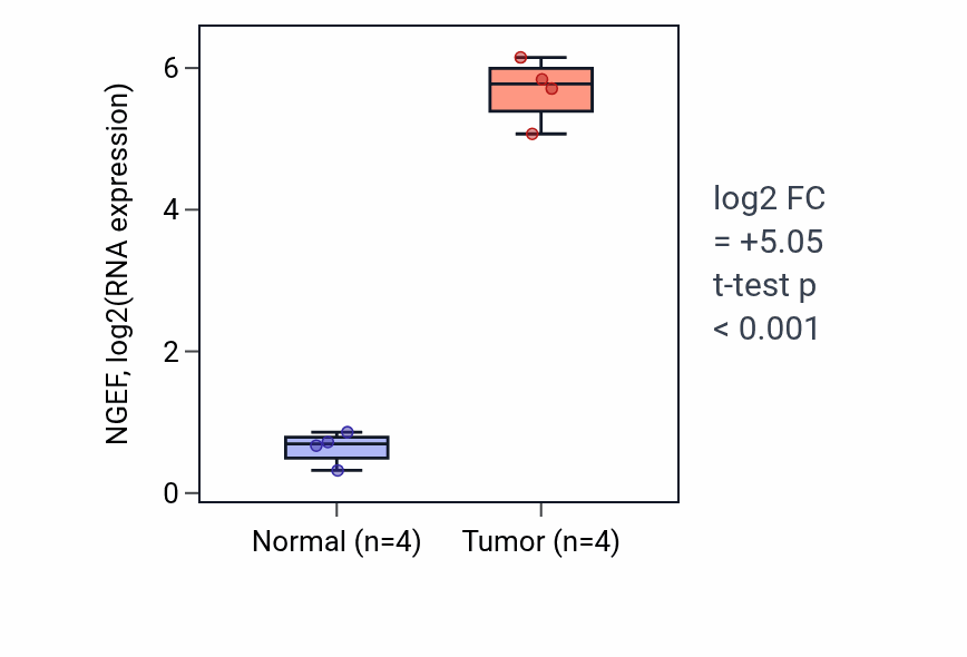 Tumor-vs-normal expression box plot for NGEF RNA in THCA.