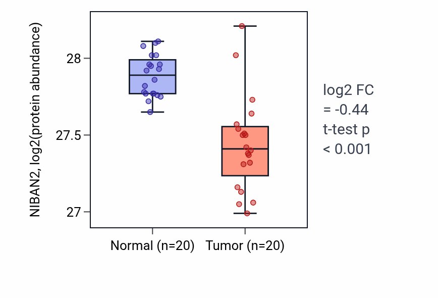 Tumor-vs-normal mass-spec protein box plot for NIBAN2 in LSCC.