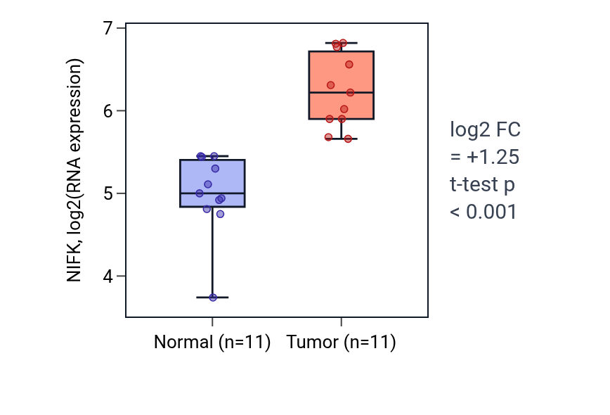 Tumor-vs-normal expression box plot for NIFK in HNSC.
